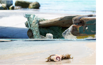beach